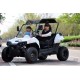 Hot Selling 200cc China Utility Vehicle UTV with 2 Seaters Ut2001